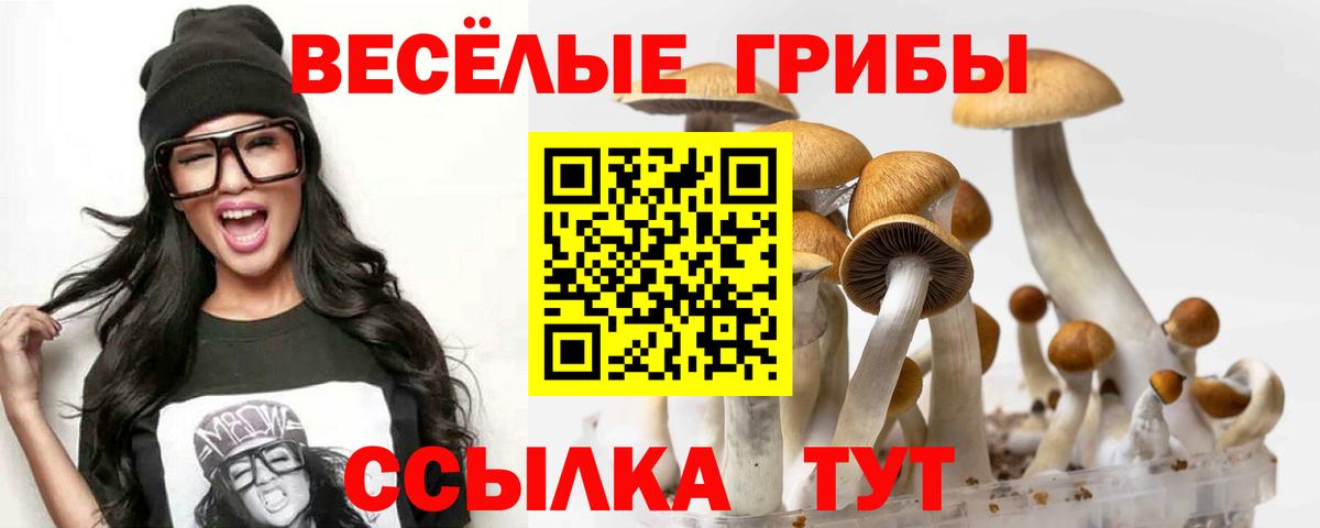 Псилоцибиновые грибы Cubensis  Галлюциногенные грибы мухоморы  Каменск-Уральский  Вход с VPN 